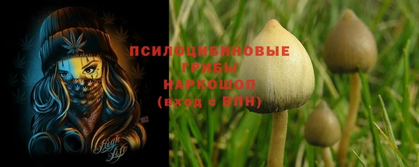 гидропоника Аркадак