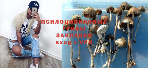 не бодяженный Армянск